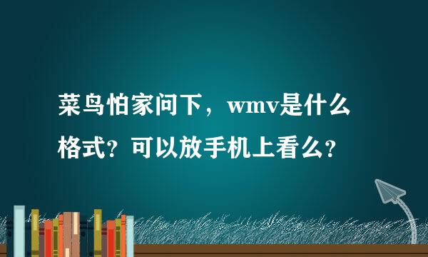 菜鸟怕家问下，wmv是什么格式？可以放手机上看么？