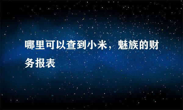 哪里可以查到小米，魅族的财务报表