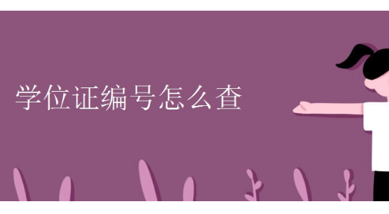 英国留学成绩单上的HESA Number是学位证编号吗？