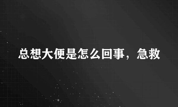 总想大便是怎么回事，急救