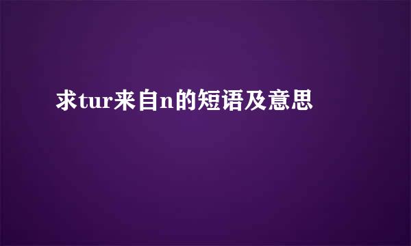 求tur来自n的短语及意思