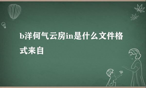 b洋何气云房in是什么文件格式来自