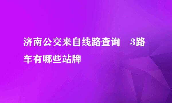 济南公交来自线路查询 3路车有哪些站牌