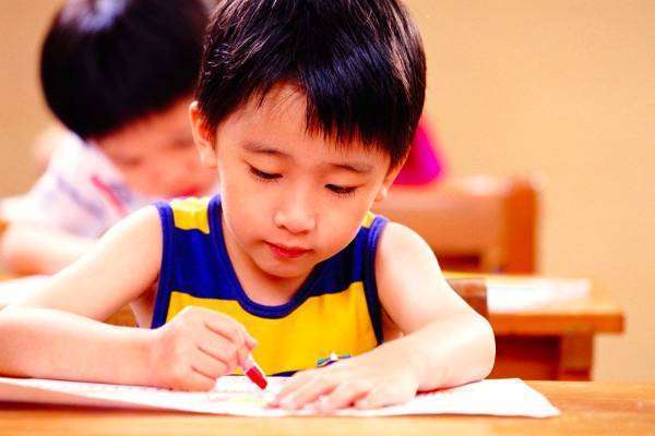 小学生学习计划怎么写