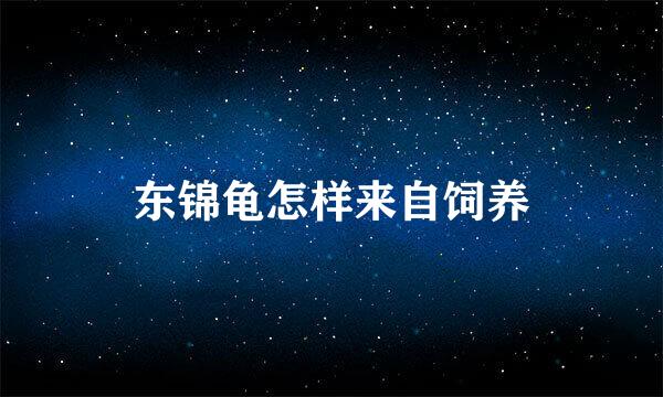 东锦龟怎样来自饲养