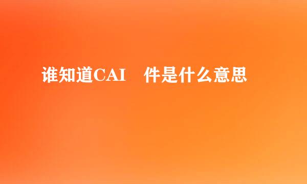 谁知道CAI課件是什么意思