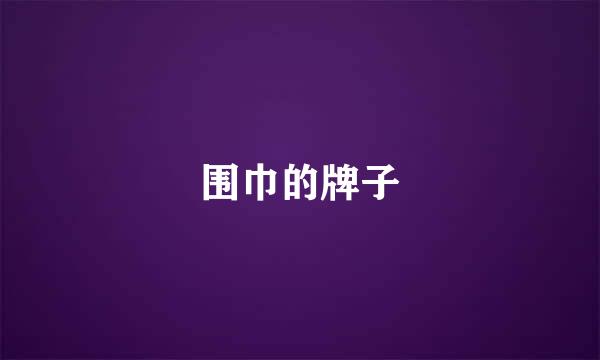 围巾的牌子
