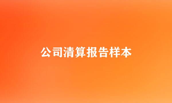 公司清算报告样本