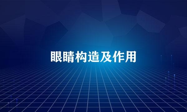 眼睛构造及作用