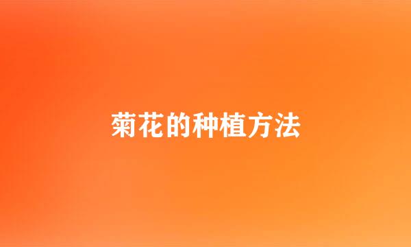 菊花的种植方法