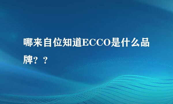 哪来自位知道ECCO是什么品牌？？