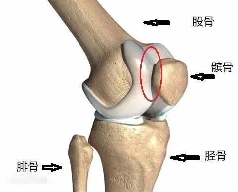 膝盖有响声是怎么回事？