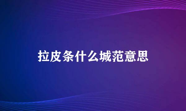 拉皮条什么城范意思