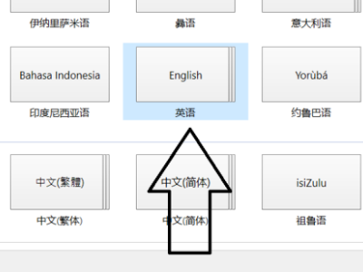 lol游戏内无法打字。有时能打出中文有时不能怎么办