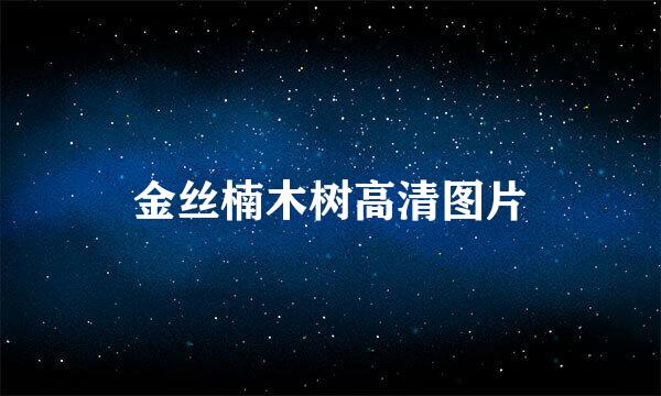 金丝楠木树高清图片