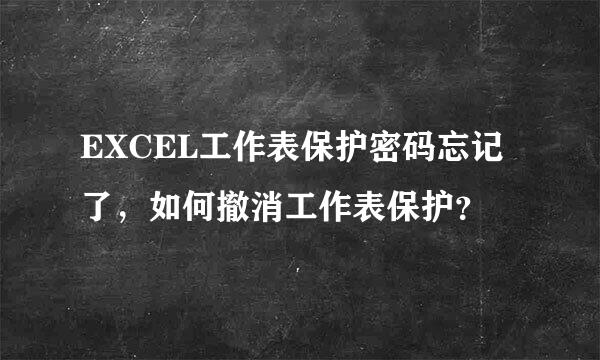 EXCEL工作表保护密码忘记了，如何撤消工作表保护？