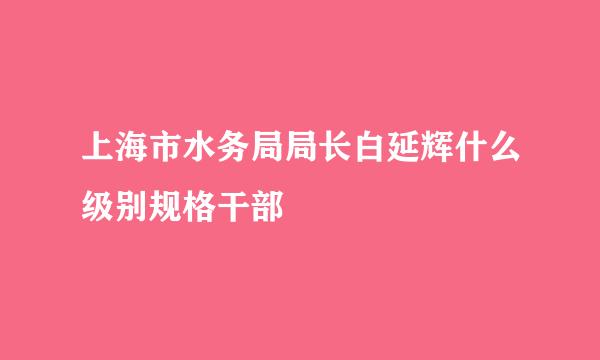 上海市水务局局长白延辉什么级别规格干部