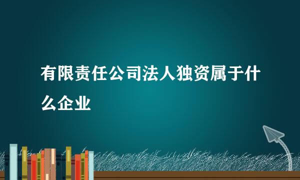 有限责任公司法人独资属于什么企业