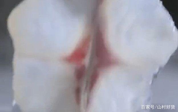 粤式打边炉该怎么做才好吃，需要准备什么食材？