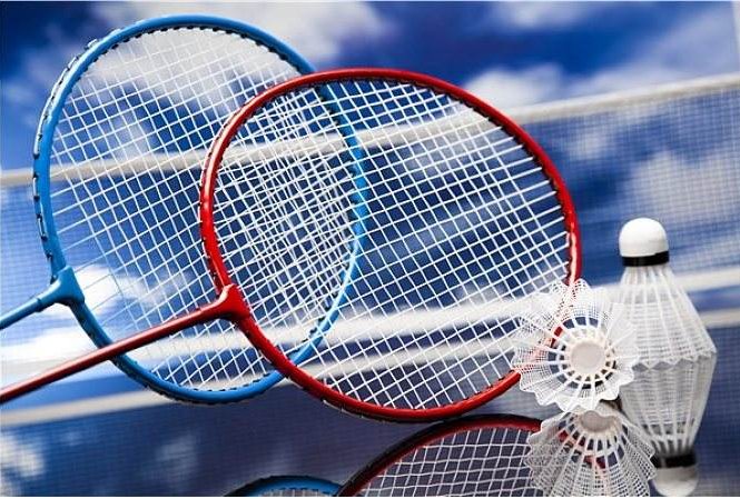 羽毛球的介绍200字