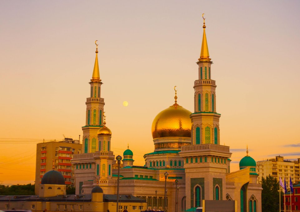 俄罗斯男女比例