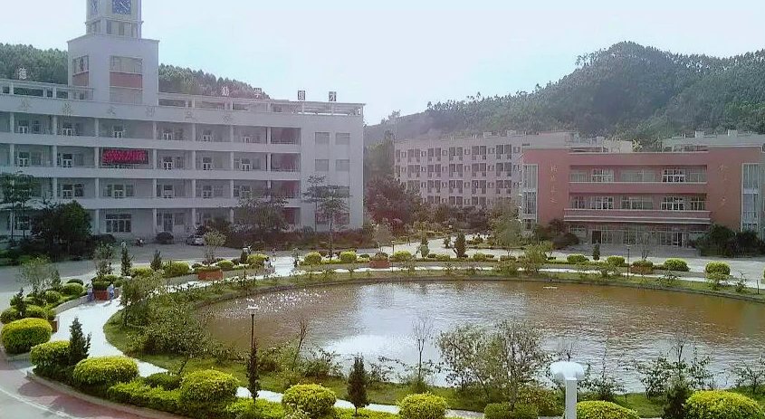 新会四中的教学质量怎么样，住宿怎么样，校风怎么样，周围环境怎么样