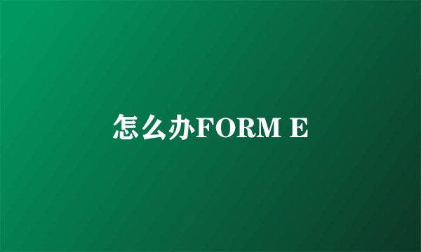 怎么办FORM E