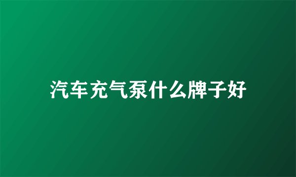 汽车充气泵什么牌子好