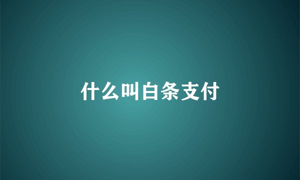 什么叫白条支付