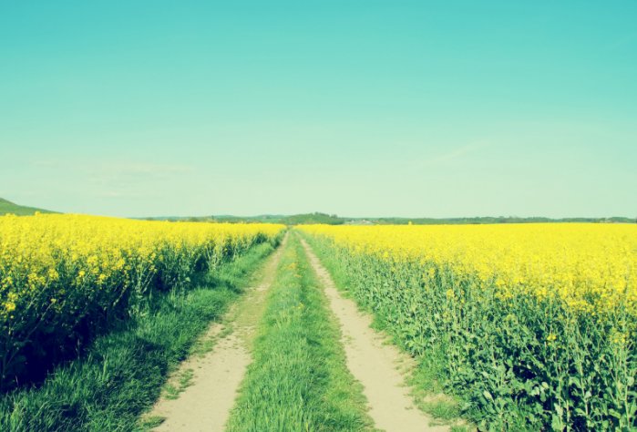 汾酒的集团酒跟股份酒有什么区别，集团酒是不是水深，跟人做会不会被骗