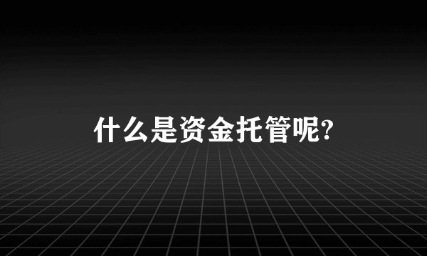 什么是资金托管呢?
