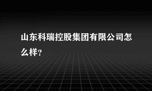 山东科瑞控股集团有限公司怎么样？