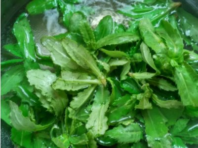刺挠牙野菜有什么做法