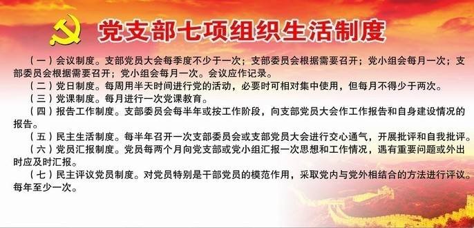 党的组织生活制度落实存在哪些问题