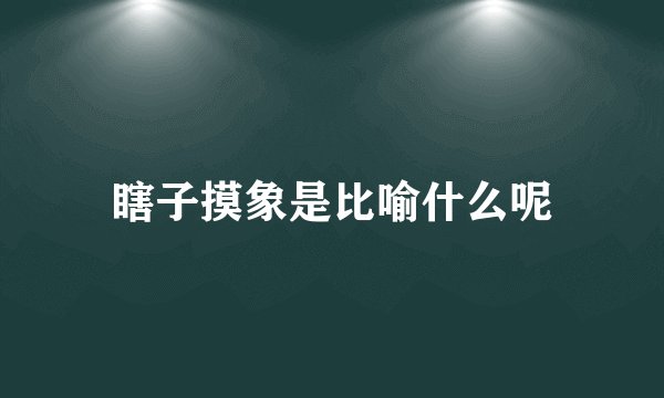 瞎子摸象是比喻什么呢