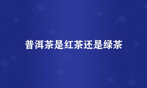 普洱茶是红茶还是绿茶
