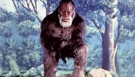 恐怖直立猿什么梗