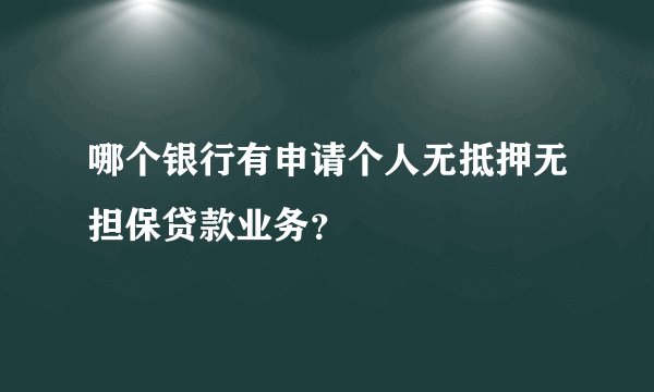 哪个银行有申请个人无抵押无担保贷款业务？