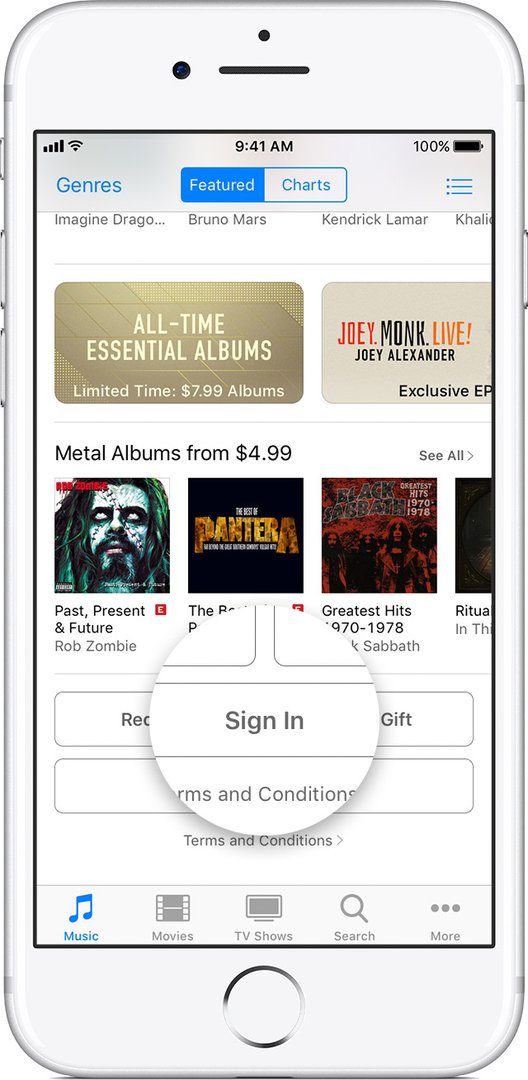 如何登录itunes store