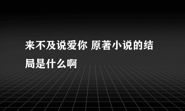 来不及说爱你 原著小说的结局是什么啊