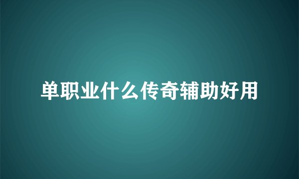单职业什么传奇辅助好用