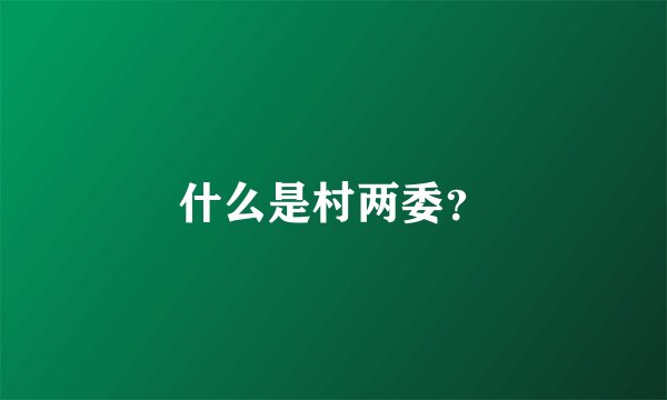 什么是村两委？