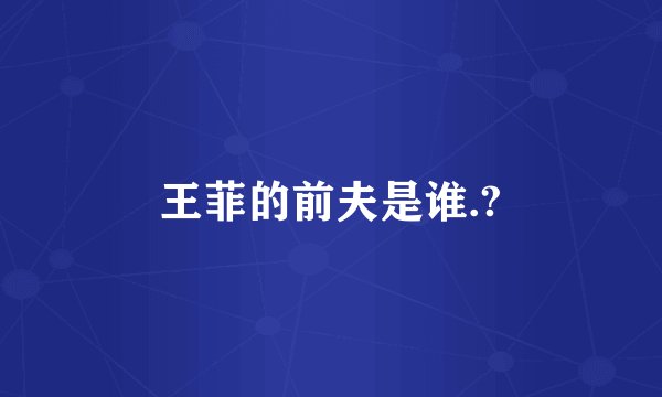 王菲的前夫是谁.?