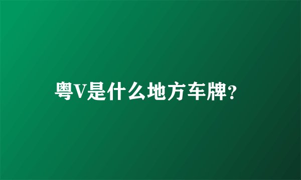 粤V是什么地方车牌？