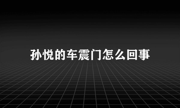孙悦的车震门怎么回事