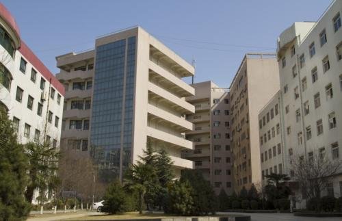 西北大学大专都有什么专业？