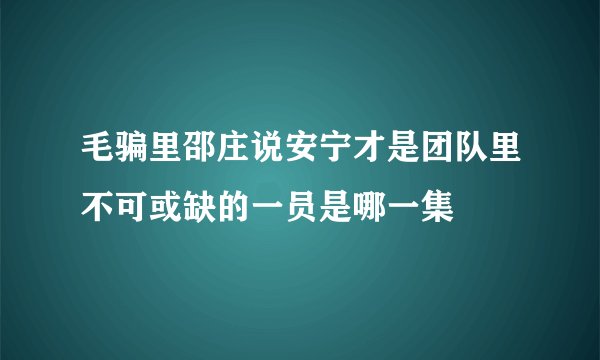 毛骗里邵庄说安宁才是团队里不可或缺的一员是哪一集
