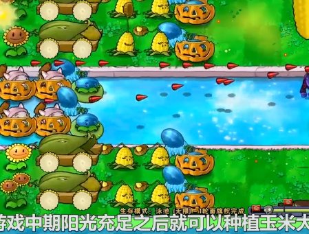 植物大战僵尸中，如何种植玉米加农炮