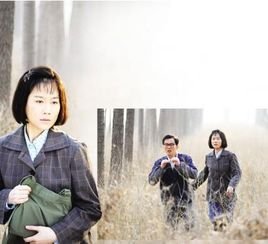 错嫁今生的剧情简介