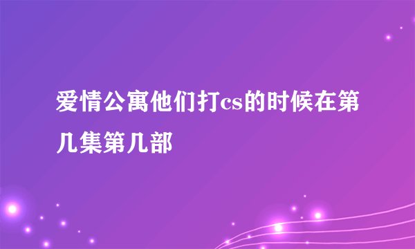 爱情公寓他们打cs的时候在第几集第几部